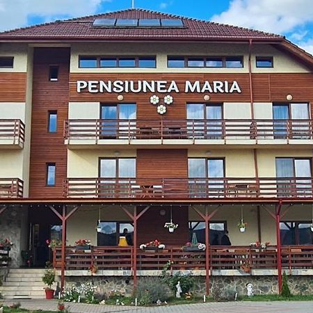 Pensiunea Maria Gilău Buitenkant foto