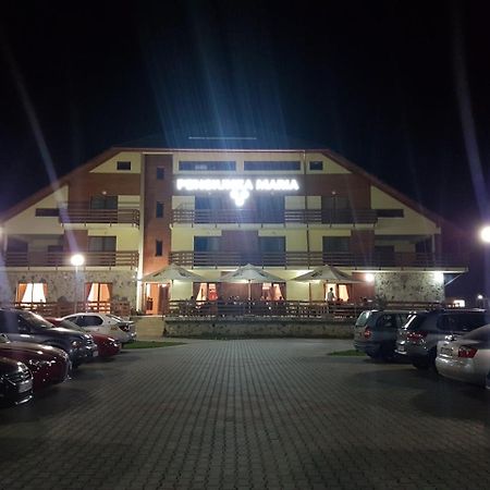 Pensiunea Maria Gilău Buitenkant foto