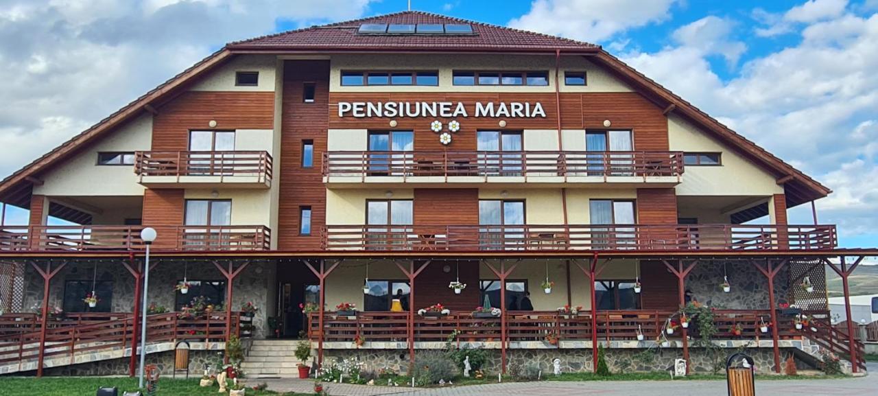 Pensiunea Maria Gilău Buitenkant foto